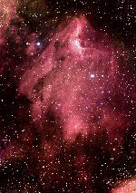 Nebulosa Pellicano